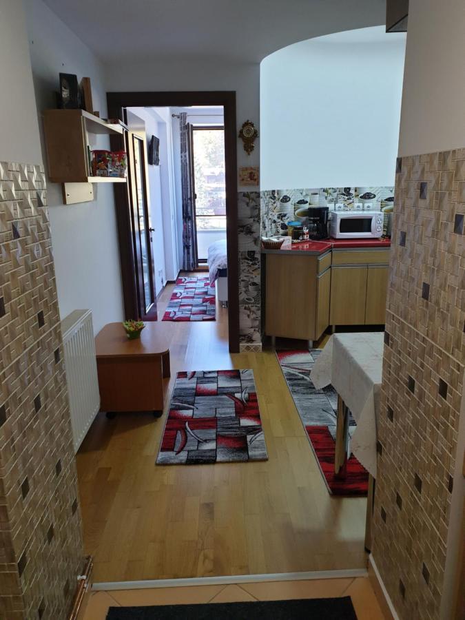 Sophie Apartament Apartment Синая Екстериор снимка