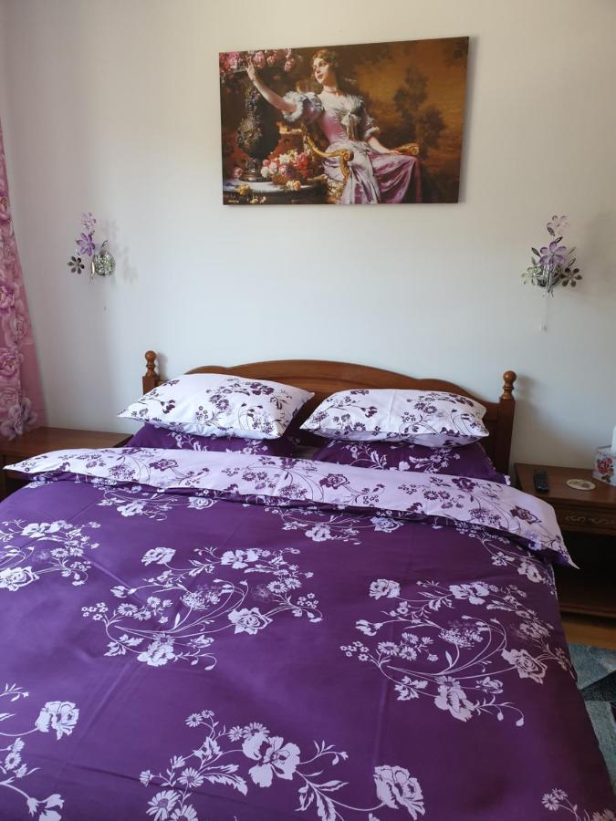 Sophie Apartament Apartment Синая Екстериор снимка