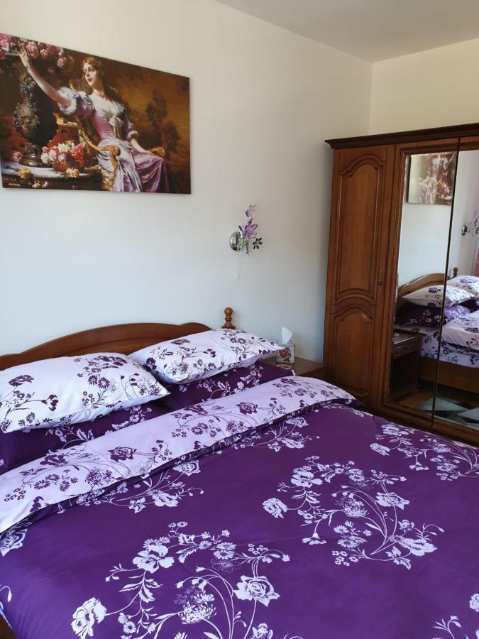 Sophie Apartament Apartment Синая Екстериор снимка