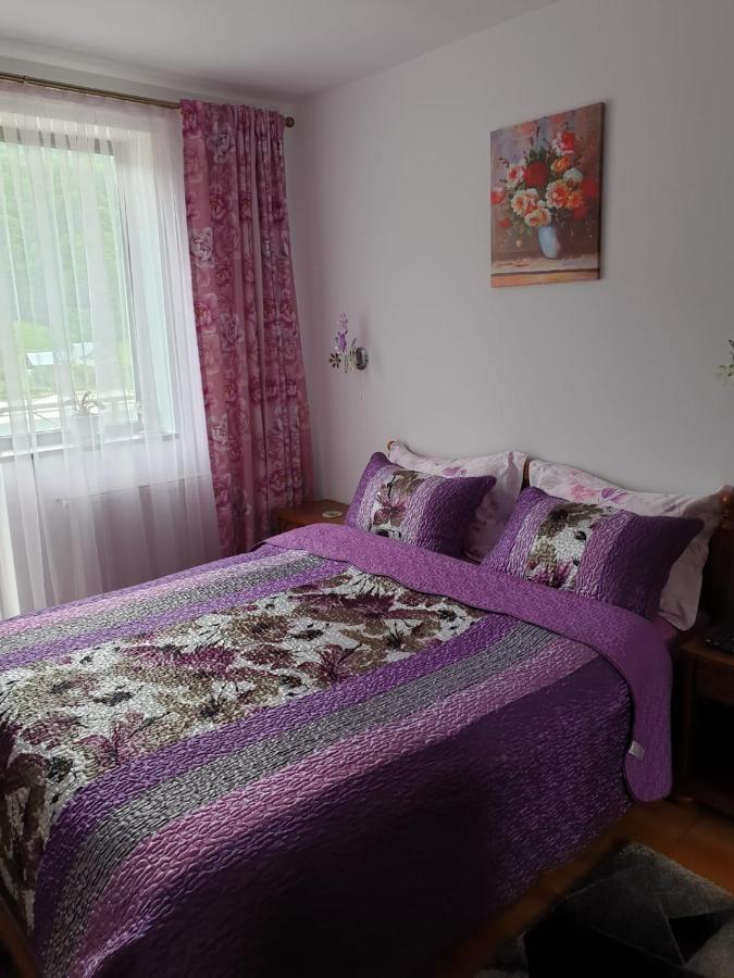 Sophie Apartament Apartment Синая Екстериор снимка