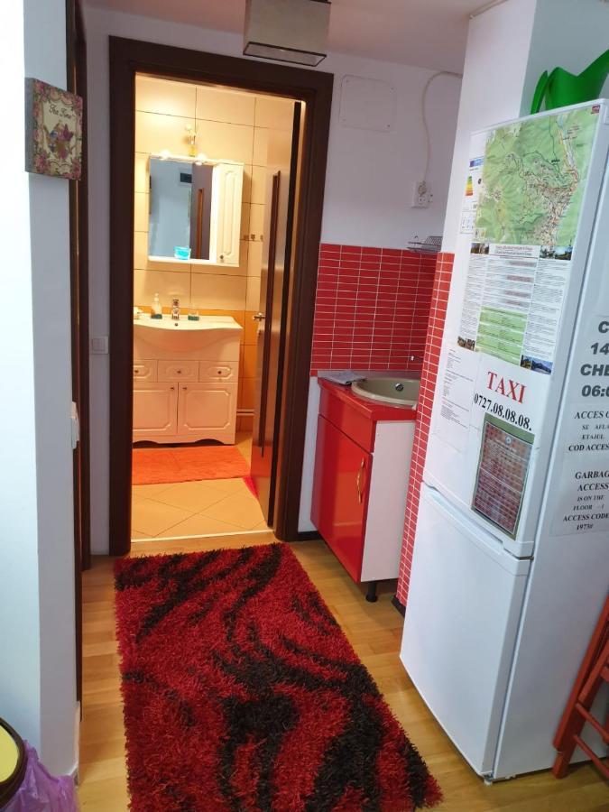 Sophie Apartament Apartment Синая Екстериор снимка