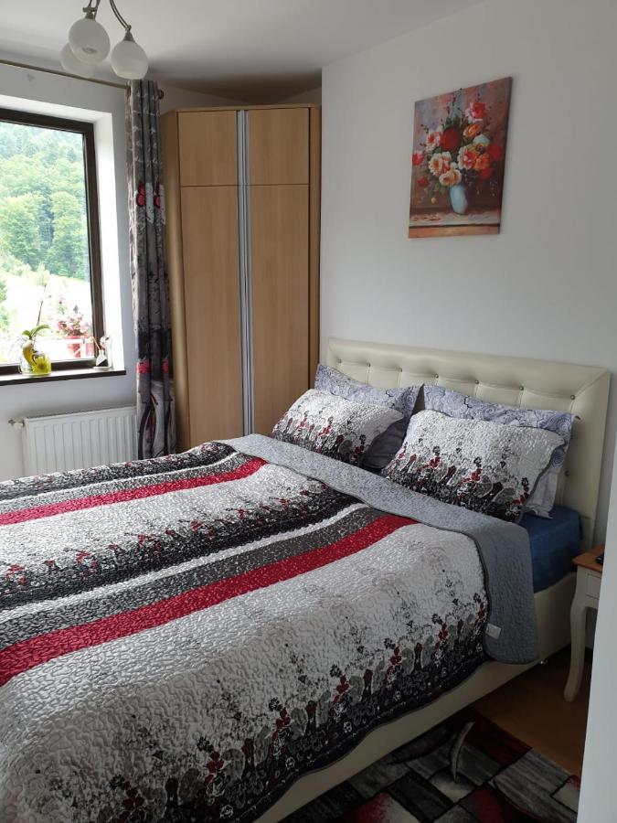 Sophie Apartament Apartment Синая Екстериор снимка