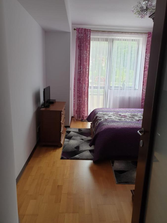 Sophie Apartament Apartment Синая Екстериор снимка