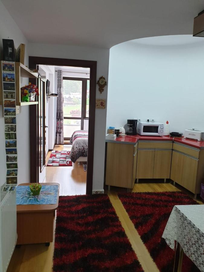 Sophie Apartament Apartment Синая Екстериор снимка