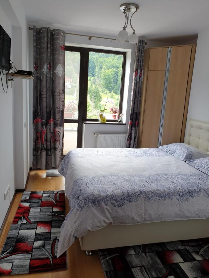 Sophie Apartament Apartment Синая Екстериор снимка